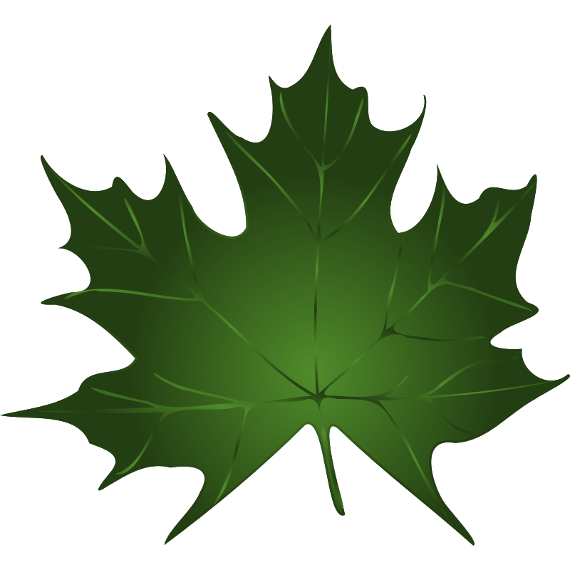 Clipart - Lapas, maple leaf