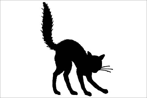 Scared Black Cat Outline Images & Pictures - Becuo