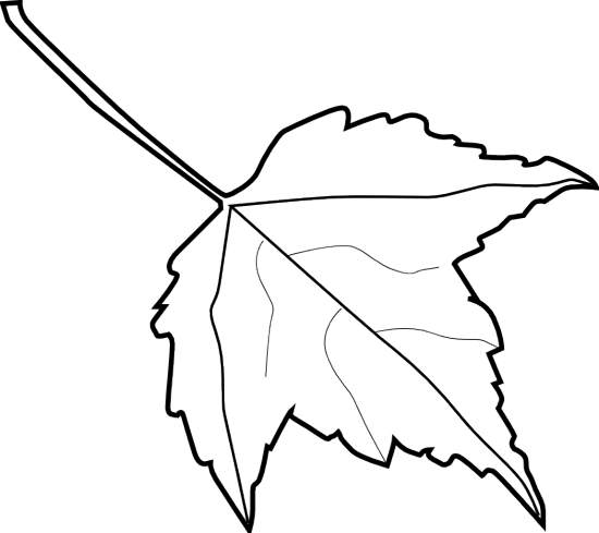 Leaf Outline Clip Art Black And White - ClipArt Best