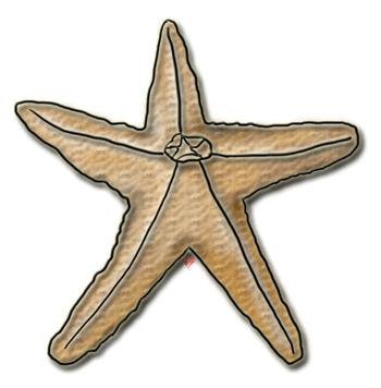 Starfish Clipart, Echo's Original Free Sealife Clipart of Starfish ...