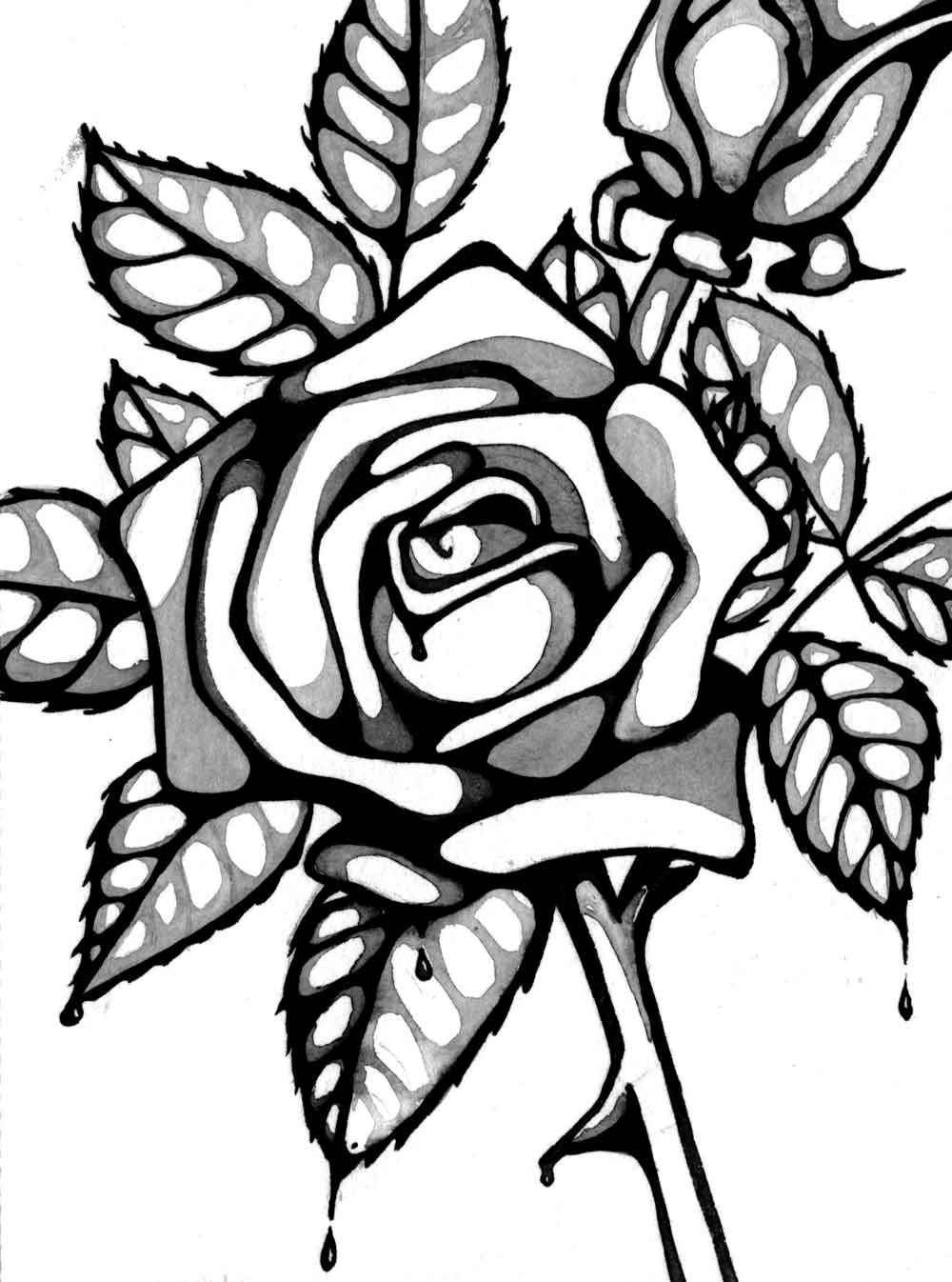 Line Drawing Rose Cliparts.co