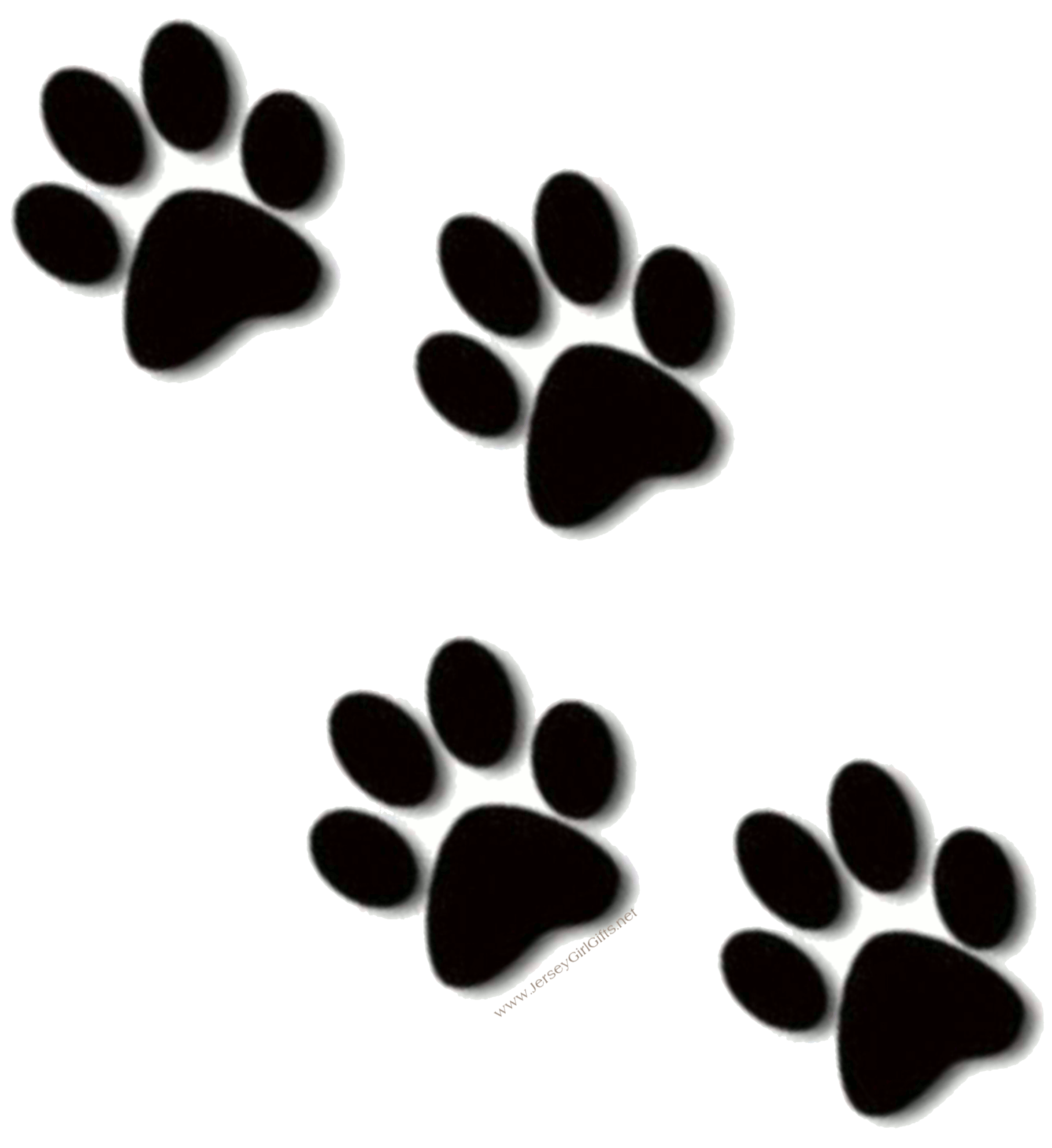 dog paw prints images