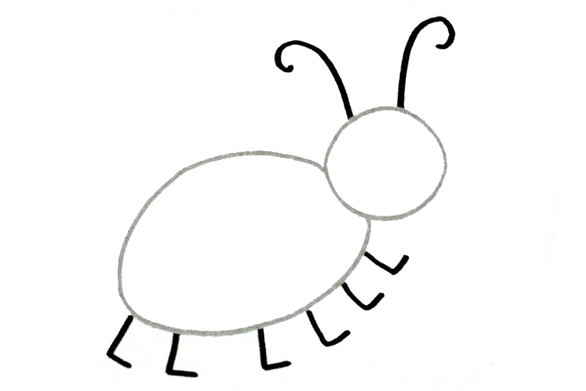 Ladybug Pencil Drawing
