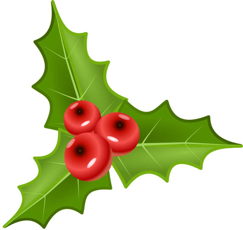 Christmas Mistletoe Png Images & Pictures - Becuo