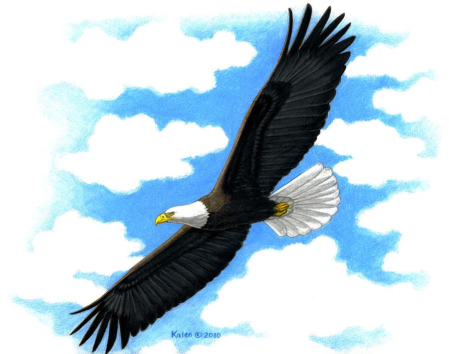 Happy Cartoon Eagle Flying Images & Pictures - Becuo