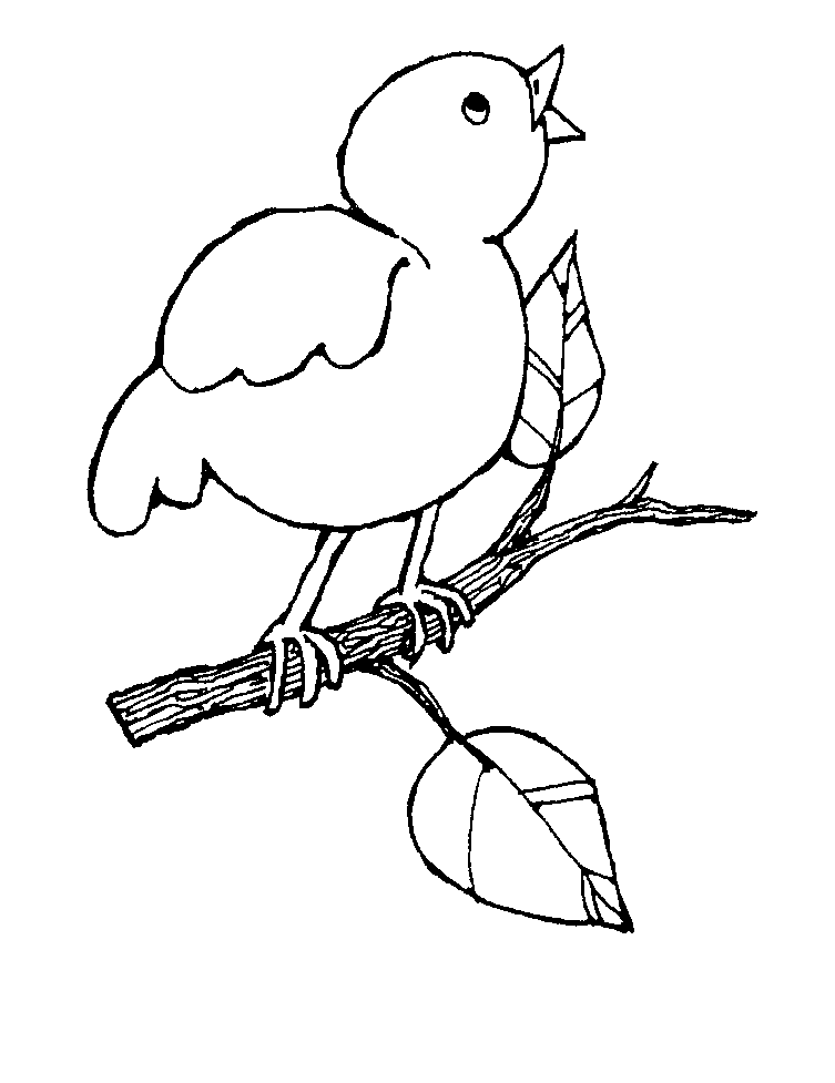 Bird Line Art