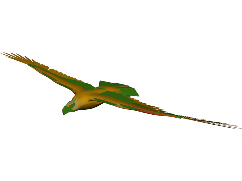 Eagle [Animated] 3D Model Download | 3D CAD Browser