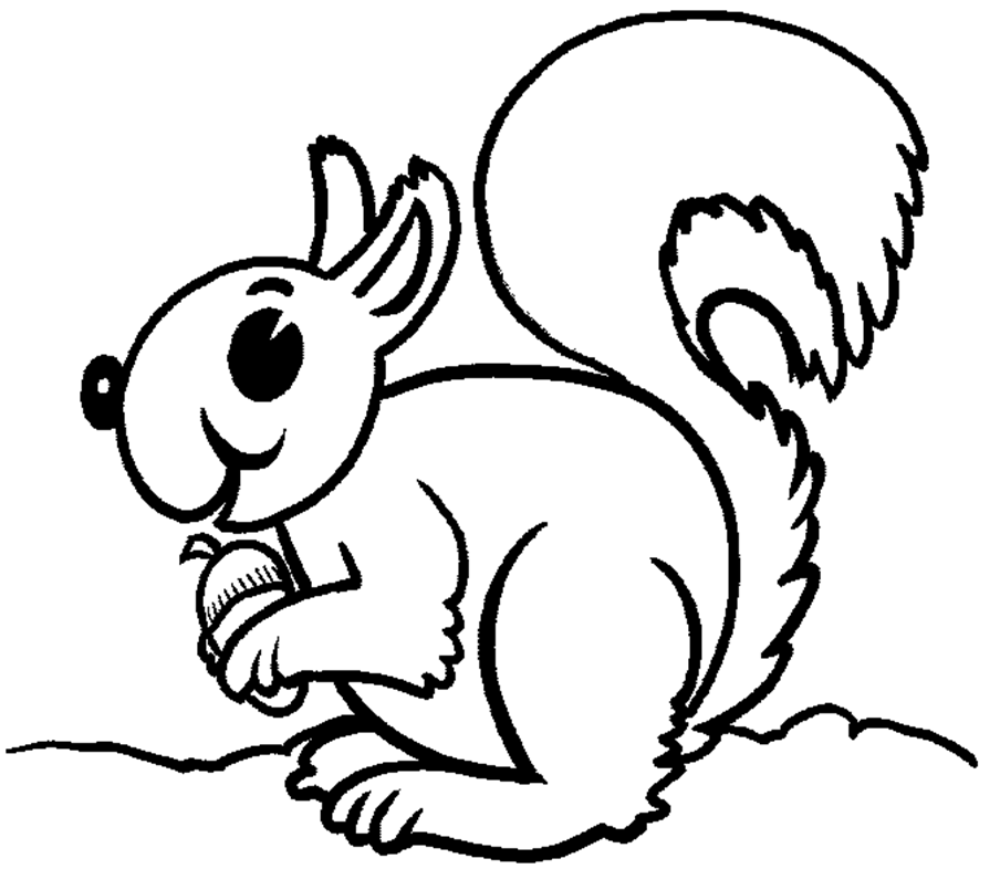 squirrel squirrel Colouring Pages (page 2)