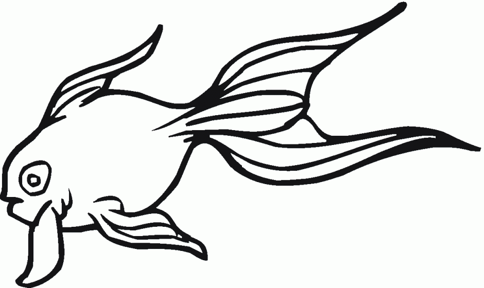 Free Fish Coloring Pages To Print Printable Coloring Sheet 165982 ...