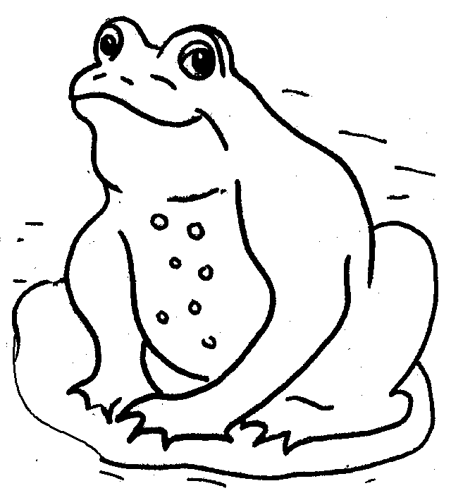 free black and white clipart frog - photo #19