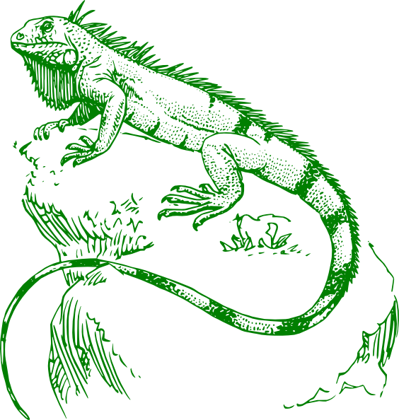 Iguana clip art - vector clip art online, royalty free & public domain