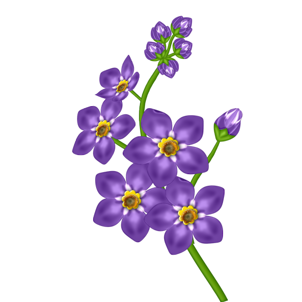 Porple Flower Transparent Clipart