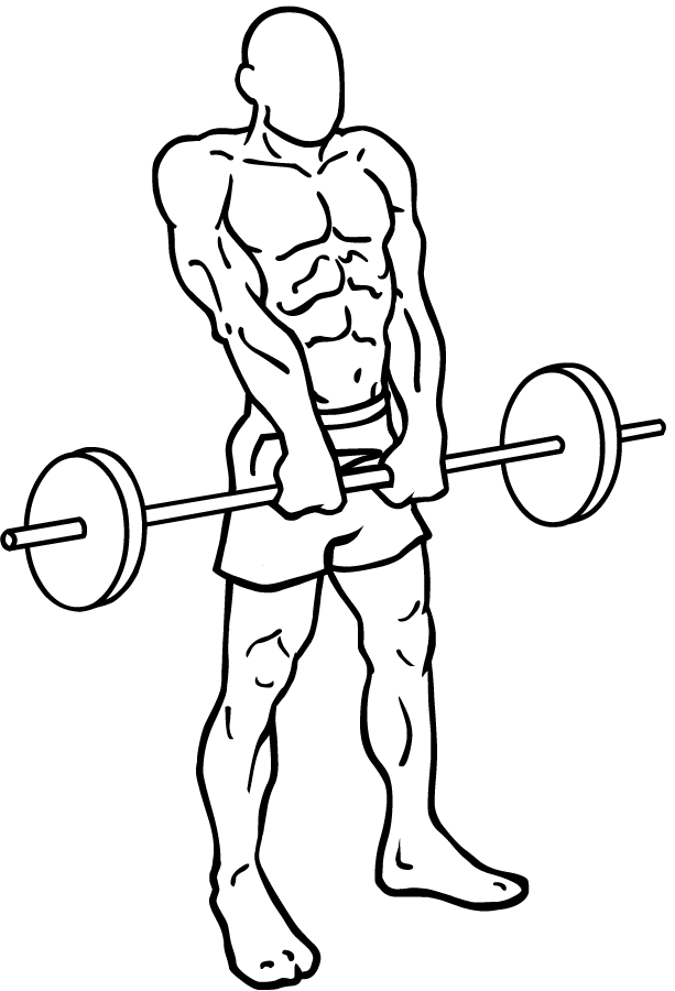 Barbell Shrugs - Blast your Trapezius Muscles with this Shoulders ...