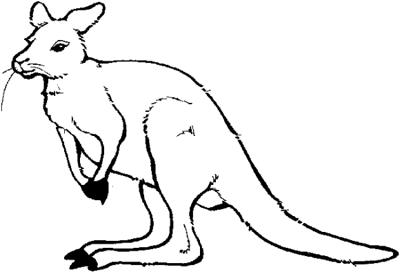 Coloring Pages For Kids Kangaroo Cute - Animal Coloring pages of ...