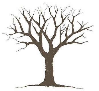 Bare tree template | Adrianna & Rob | Pinterest