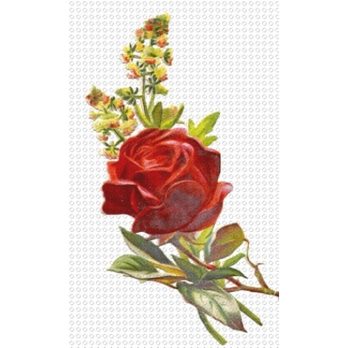 Floral Clip Art Single Red Rose Golden Rod Bouquet