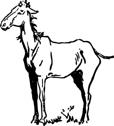 Horse clip art - Download free Other vectors