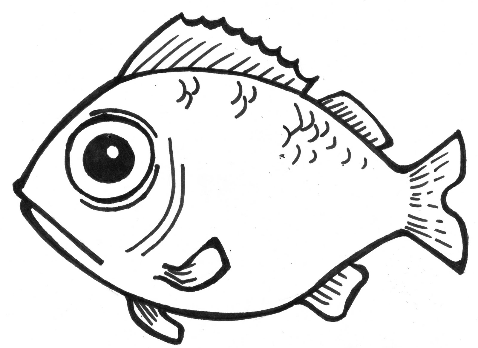 Fish Drawing Images Cliparts co