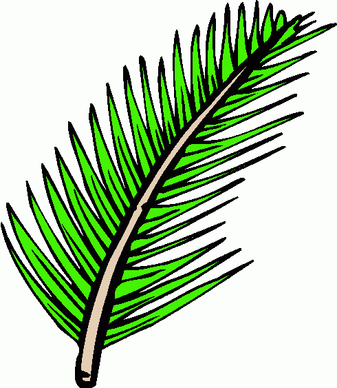 free clipart of palm leaves - photo #5
