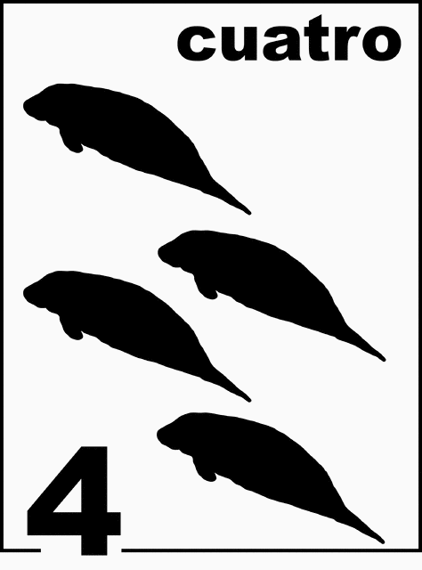 Spanish Florida Manatee Counting Card 4 | ClipArt ETC