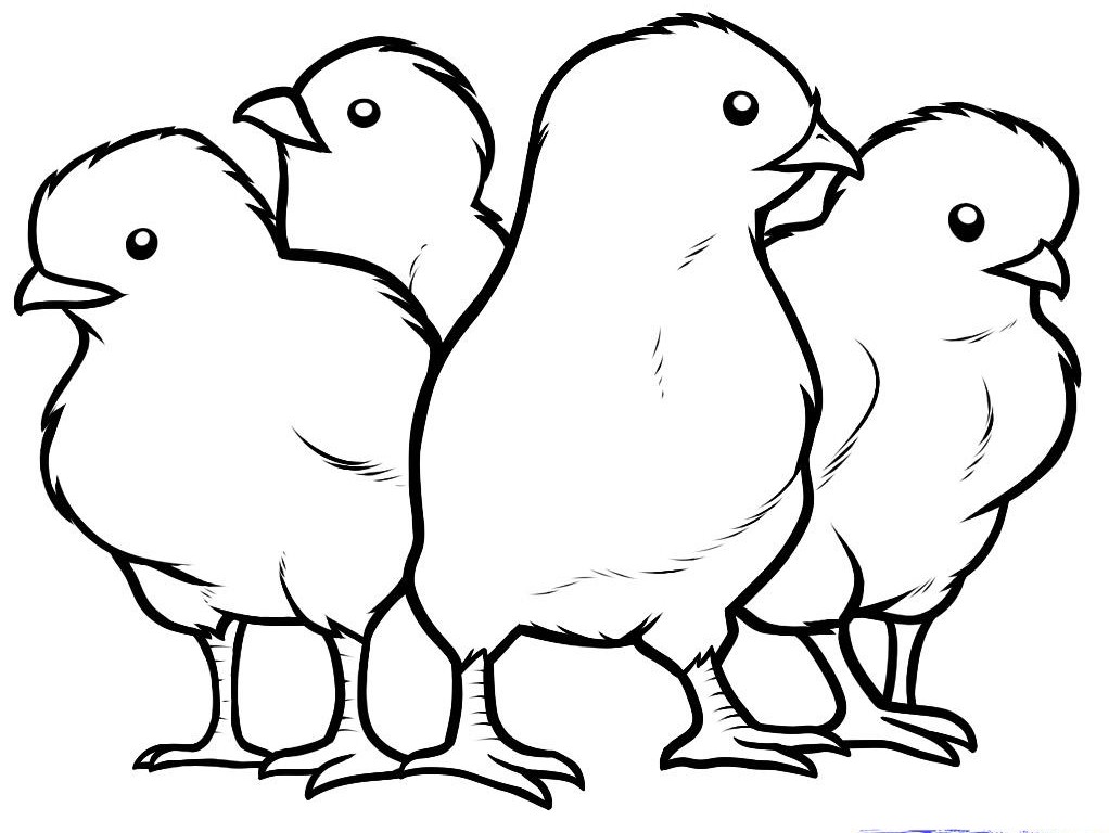 baby easter chicks coloring pages - photo #23