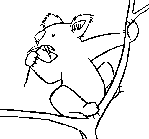 Koala coloring page to color