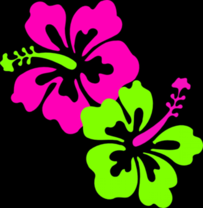 Hibiscus Pink Lime Green clip art – vector clip art online …The ...