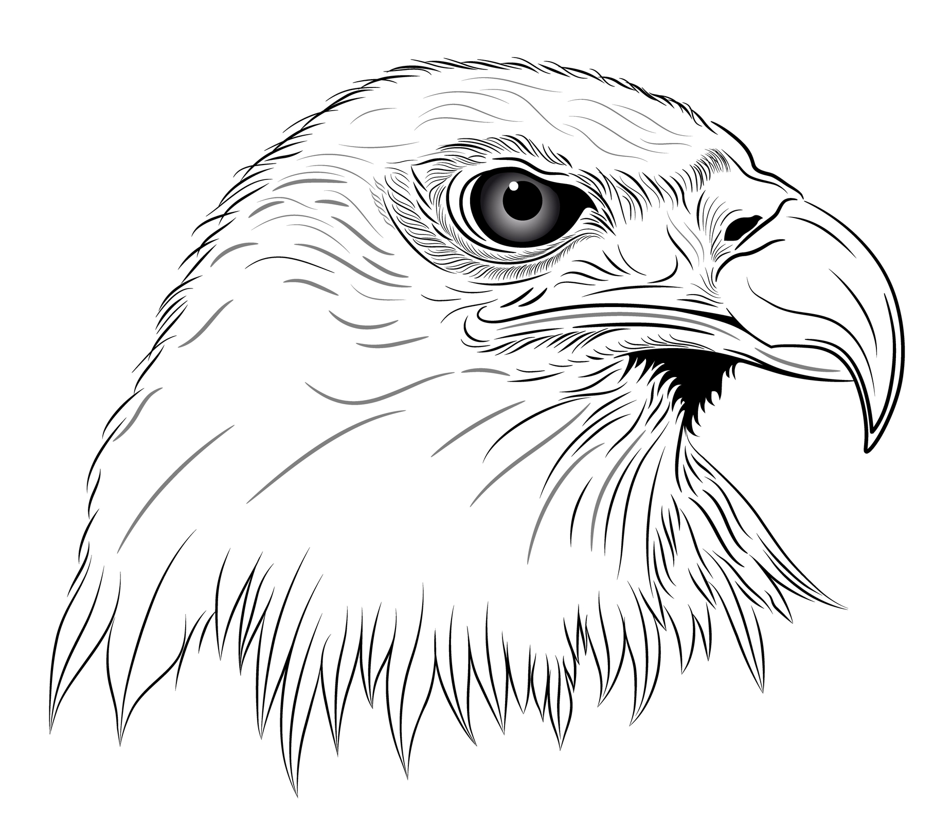 White-eagle-head-tattoo.jpg