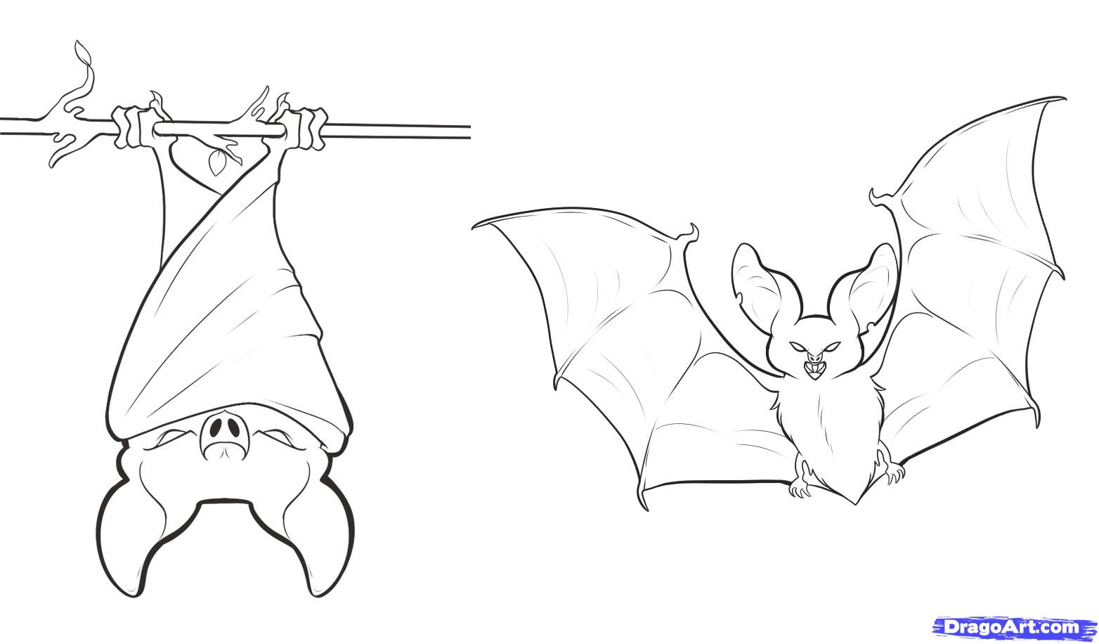 How to Draw Bats, Step by Step, forest animals, Animals, FREE ...