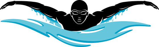 swimming-butterfly-clipart- ...