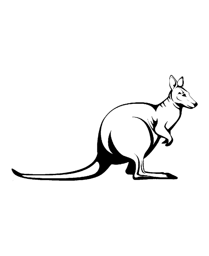 Wild Animal Kangaroo Coloring Day : KidsyColoring | Free Online ...