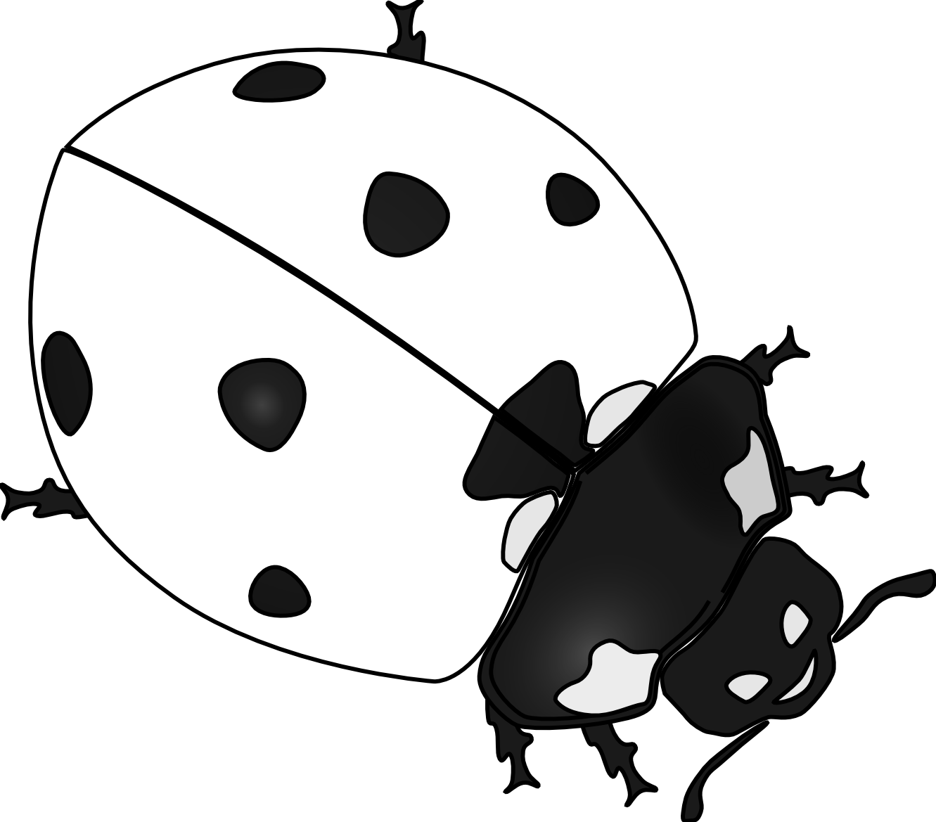 free black and white ladybug clipart - photo #11