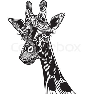 Giraffe Head Drawing images & pictures - NearPics