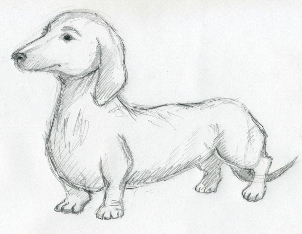 Dog Drawing Cliparts.co