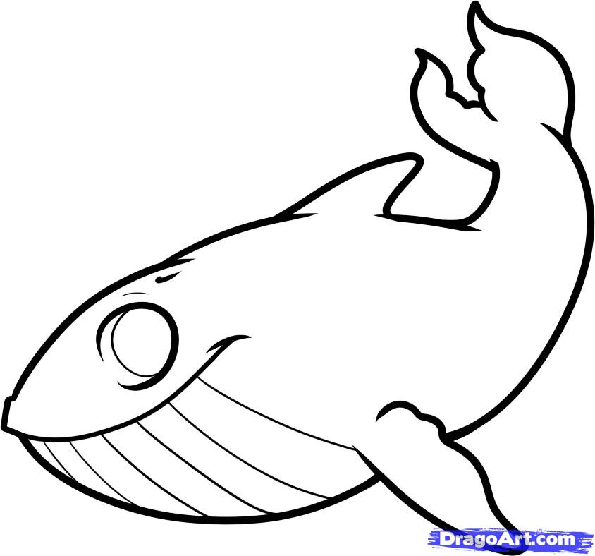 How to Draw a Whale for Kids, Step by Step, Animals For Kids, For ...