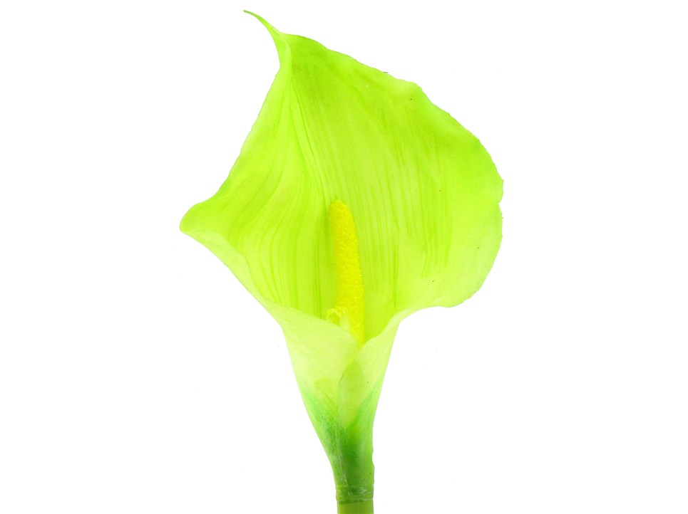 Large Light Green Calla Lily | Shop Hobby Lobby