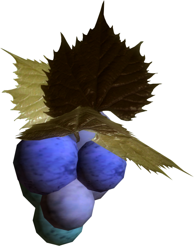 Jazbay Grapes (Skyrim) - The Elder Scrolls Wiki