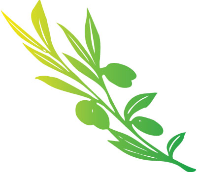 Olive Tree Vector - ClipArt Best