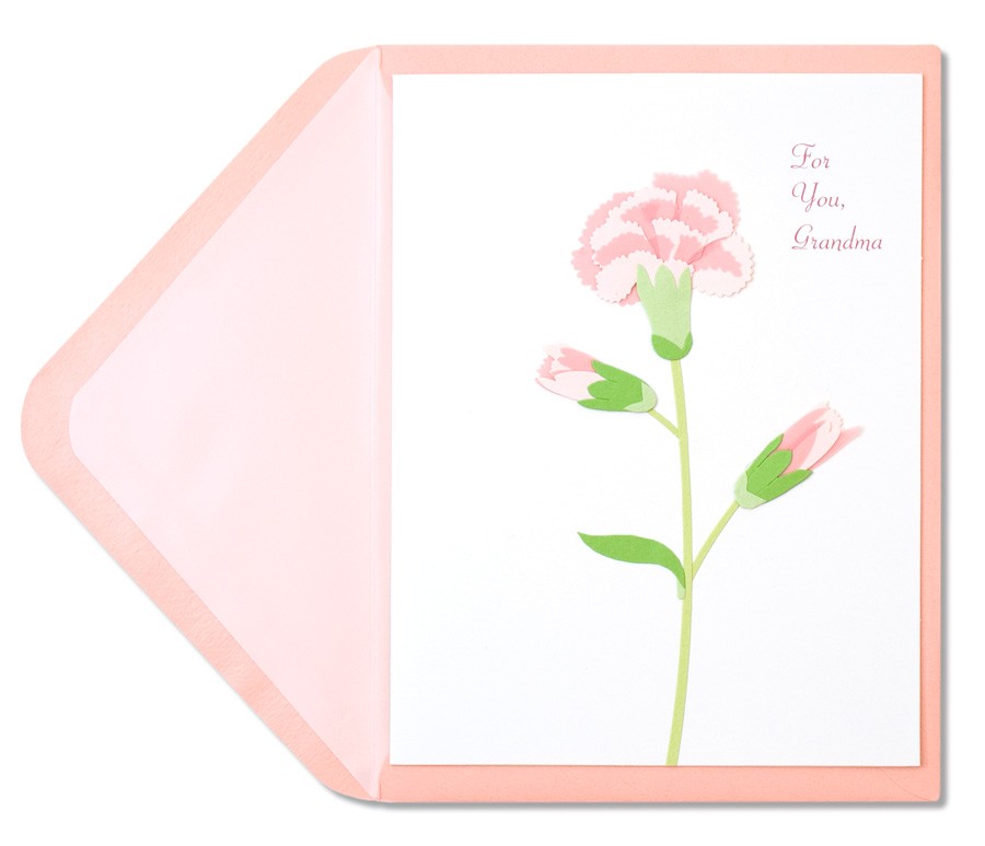 Birthday Cards For Grandma | Handmade Carnation Greeting Card