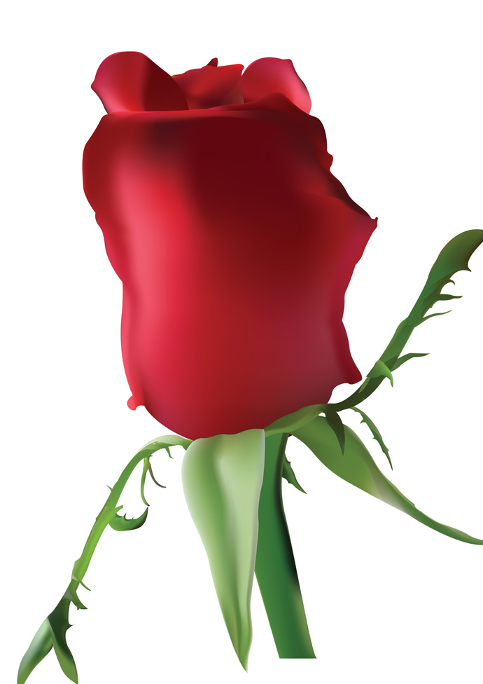 Red Rose Clip Art Download Free Nature Vectors Wallpaper Red Rose ...