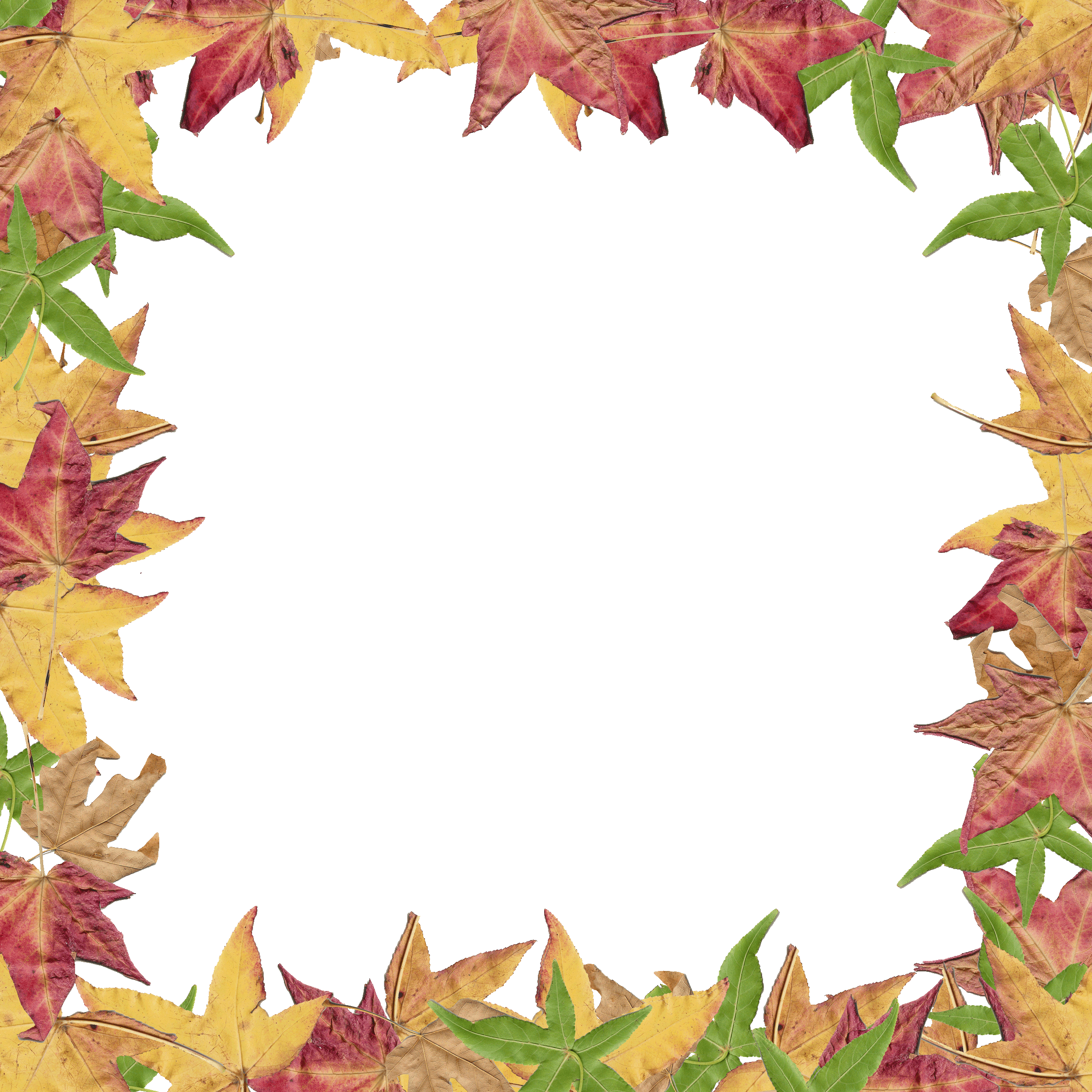 Fall Leaves Border Clipart | Clipart Panda - Free Clipart Images