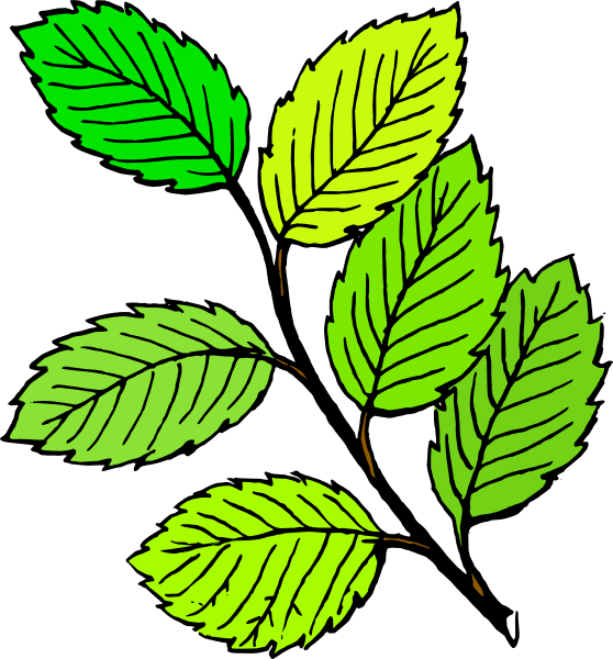 Summer Leaves clip art - vector clip art online, royalty free ...