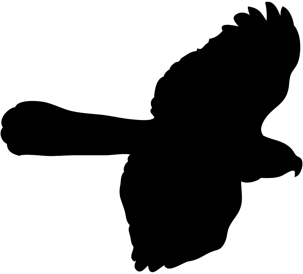 Images For > Flying Dove Silhouette Outline