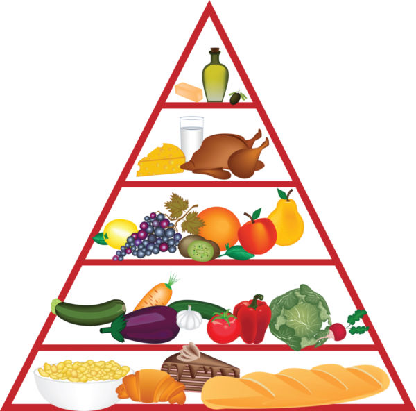 Food pyramid clipart | Clipart Panda - Free Clipart Images