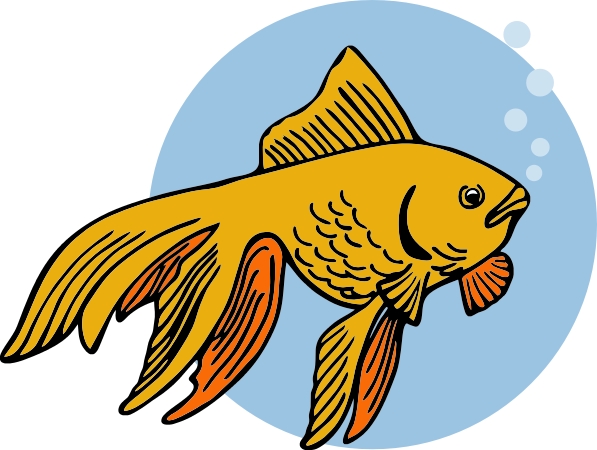 free clipart goldfish - photo #25