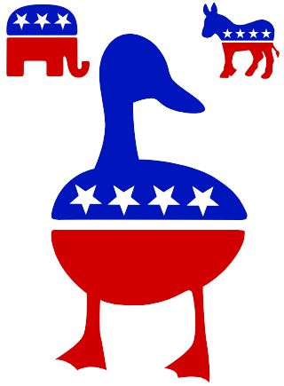 Cazort.net Duck Political Logo
