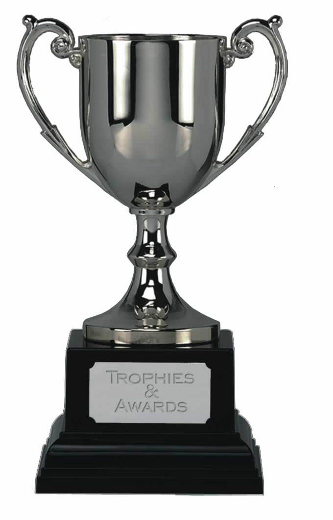 GOLD or SILVER Castle Cast Trophy Cup | Standard Trophies