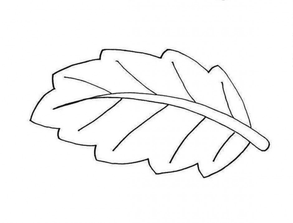Coloring Pages Of Fall Leaves Viewing Gallery For Fall Leaves ...