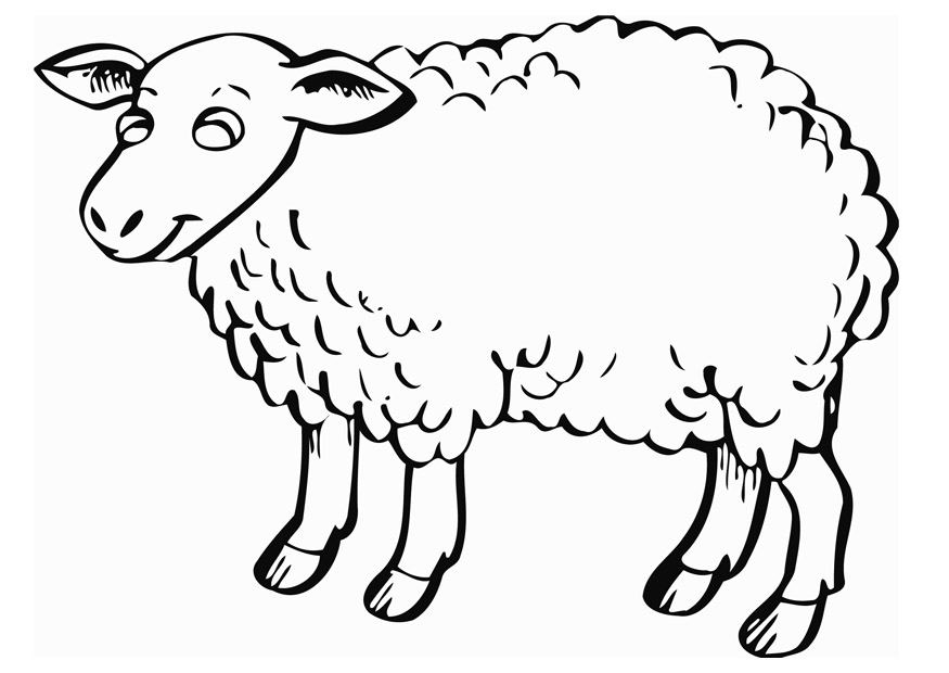 download-high-quality-sheep-clipart-printable-transparent-png-images