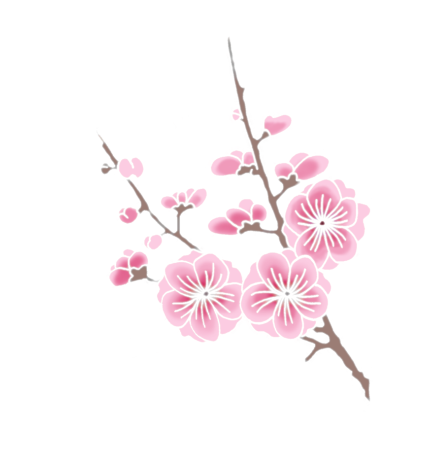 Cherry Blossom Png - Cliparts.co